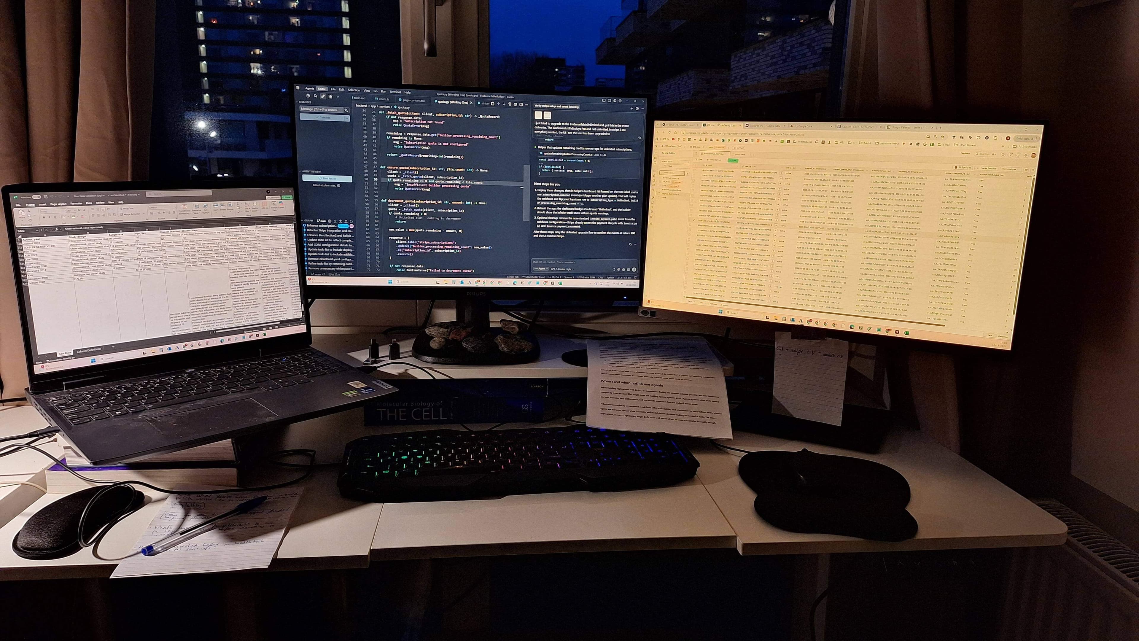 When I Realised Systematic Reviews Are Really About Managing Chaos hero image